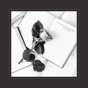 欧美性理论XⅩⅩXⅩ
